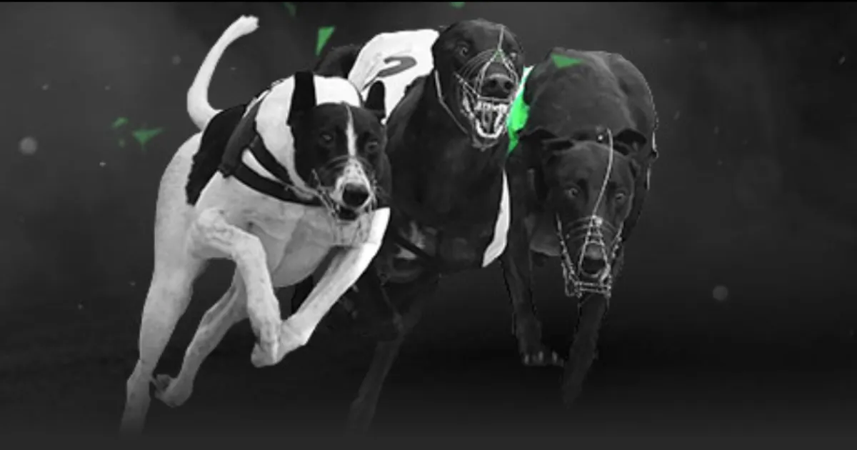 詹姆斯精准,助攻,八村塁篮下,足球比分,即时比分,比分直播,比分网,足球即时比分