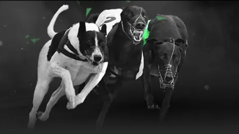 詹姆斯精准助攻，八村塁篮下得分如探囊取物