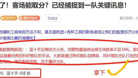 郑钦文年终总决赛巅峰对决，央视新闻客户端独家直播