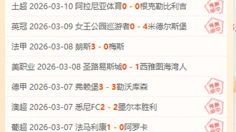 宝可梦30周年纪念版徽标1025款解析，捕捉宝可梦攻略