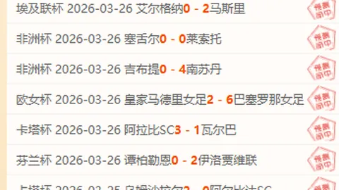 霍芬海姆德甲分析：专家075让位解析